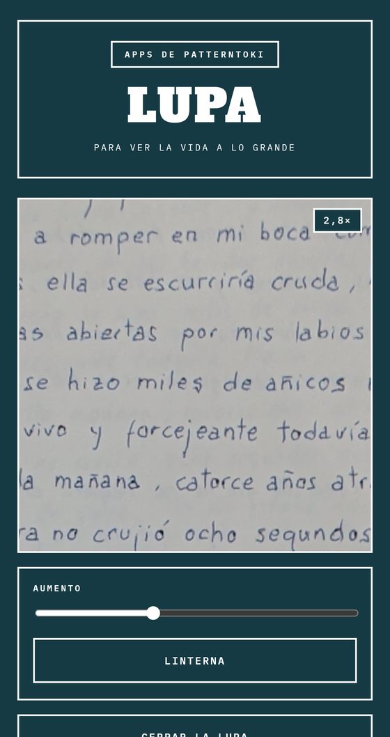 Pantalla de Lupa